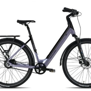 Avalon E-Flow Urban E-bike